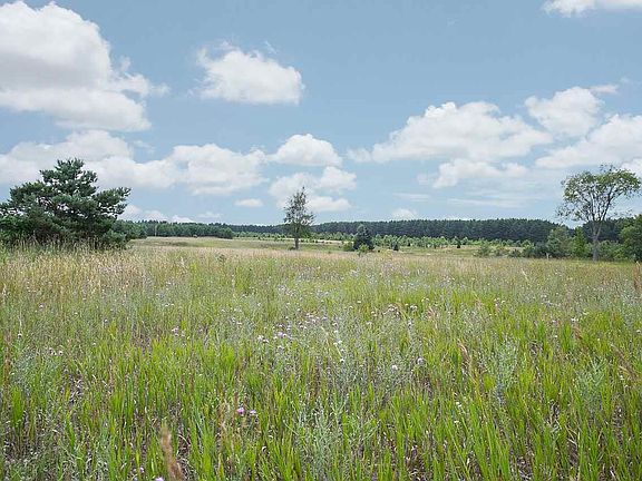 4th image of NE Co Road 571