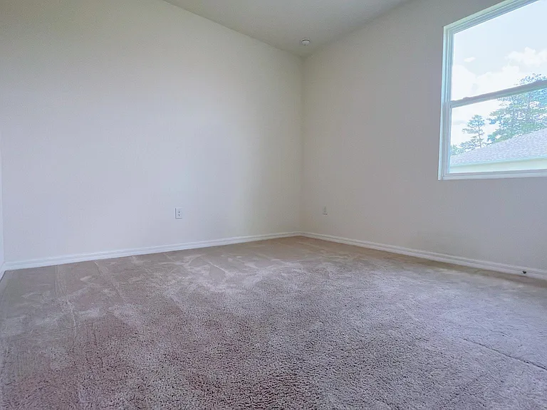 3539 Autumn Amber Dr — Photo 6