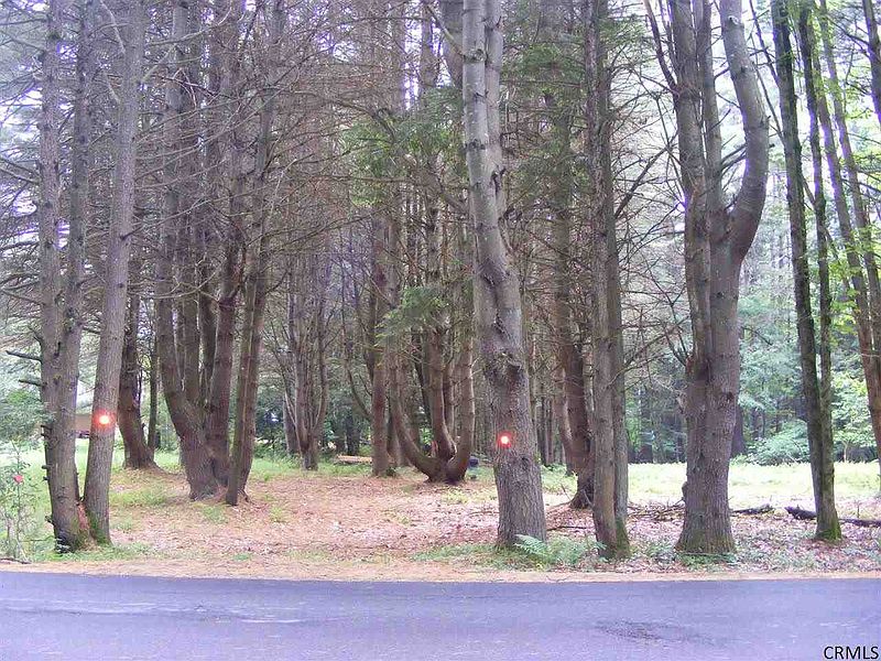 4th image of SEVEN HILLS Road