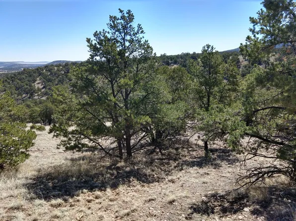 56 Carson Dr, Datil, NM 87821