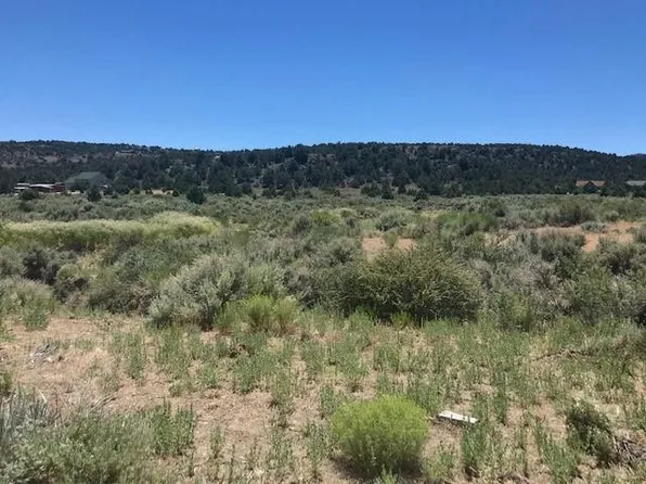2441 Lousetown Rd, Reno, NV 89521