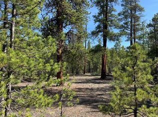 361 Hemlock Dr, Twin Lakes, CO 80461
