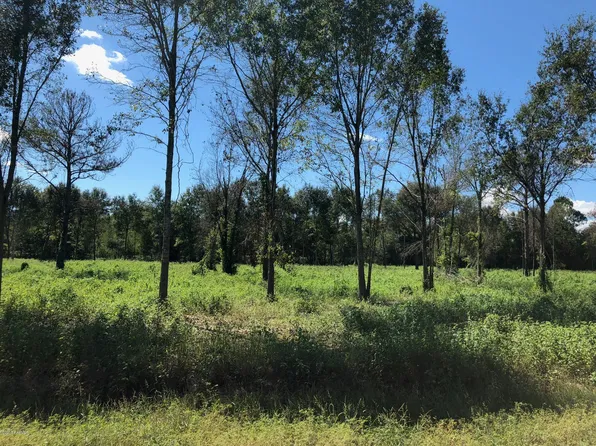 1 L Anse Meg Rd, Mamou, LA 70554