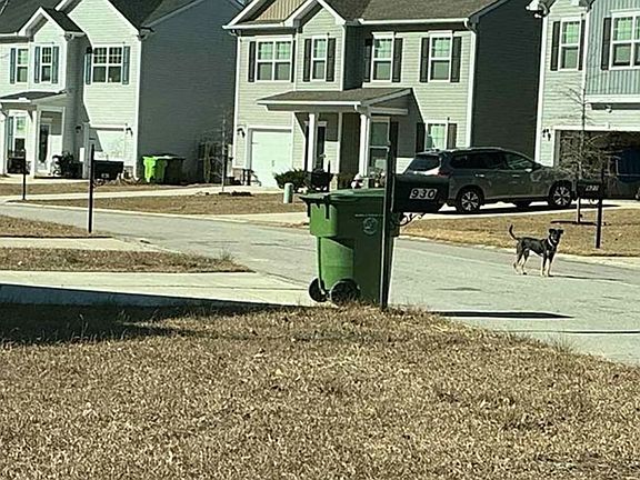Exterior Neighborhood (street photo)