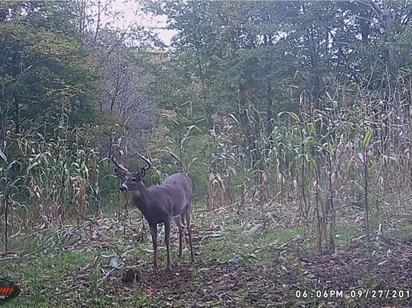 xx Hwy 35, Luck, WI 54853