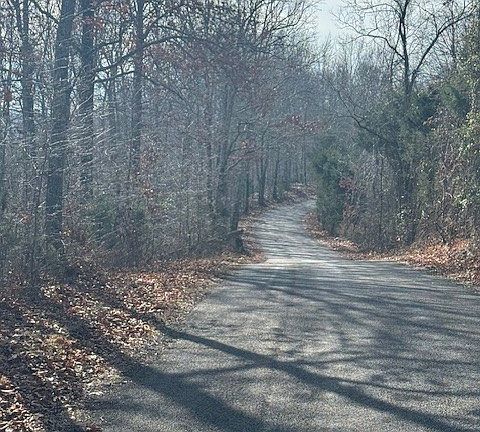 2nd image of 0 Tick Rd