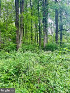 0 Highland Way, Chester Gap, VA, 22623