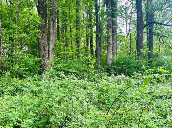 0 Highland Way, Chester Gap, VA 22623