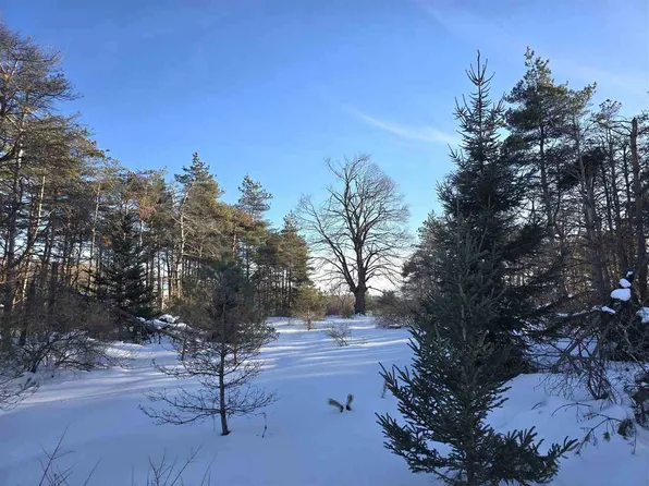 Needles Dr Lot 36, Harbor Springs, MI 49740