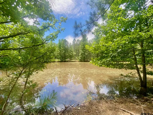 4343 Fm 229, Crockett, TX 75835