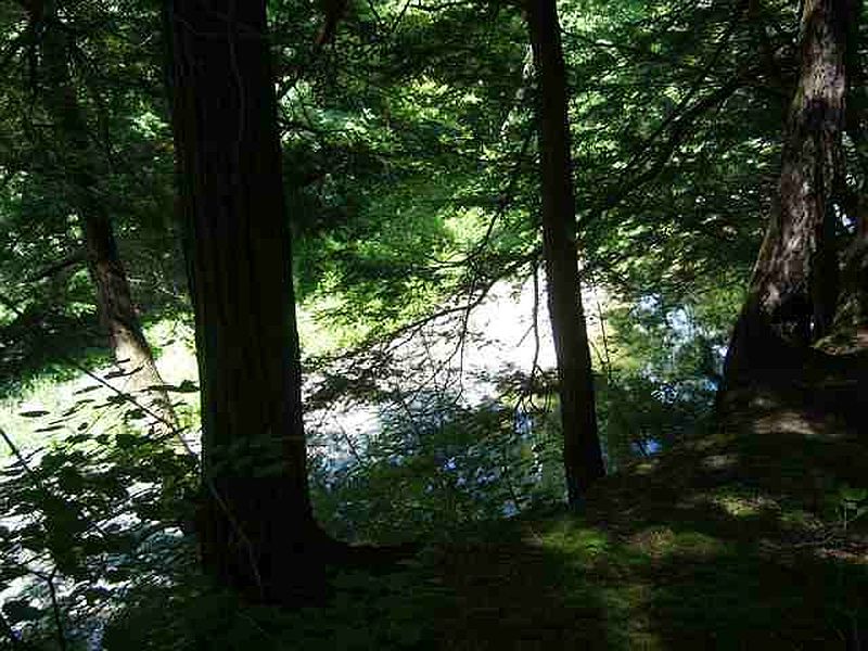 4th image of 00 FEUZ Lane