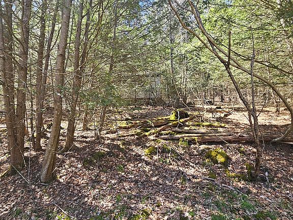 3rd image of 0 First Fork Rd