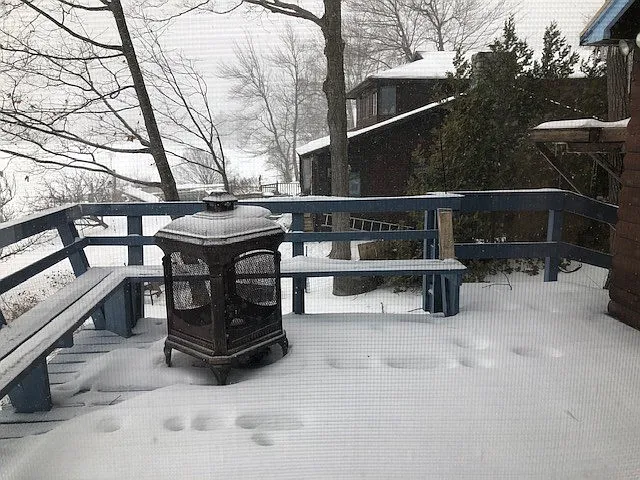 94 Ice House Rd #94 — Photo 16