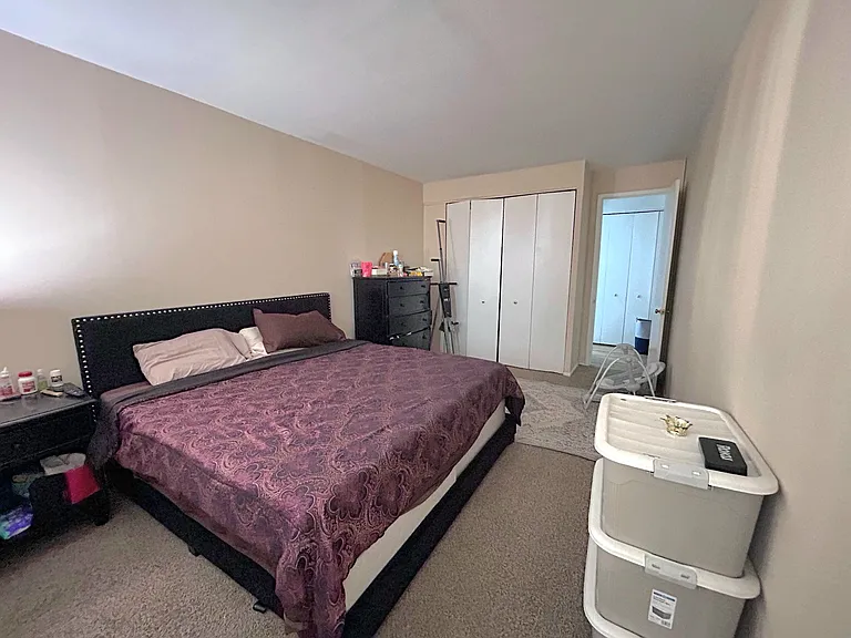 2921 S Michigan Ave #103 — Photo 5