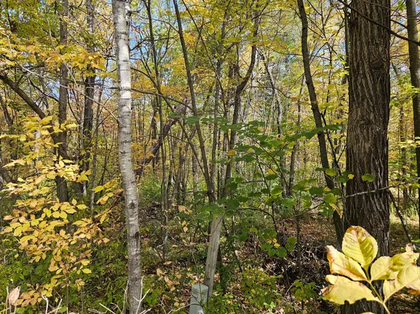 LOT 2 Bunny Ln, Crosby, MN 56441