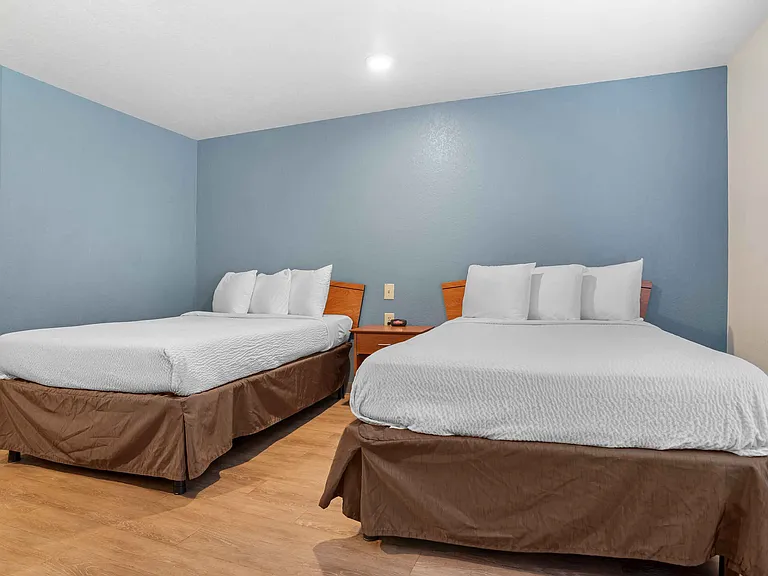 Studio Suite - 2 Full Beds