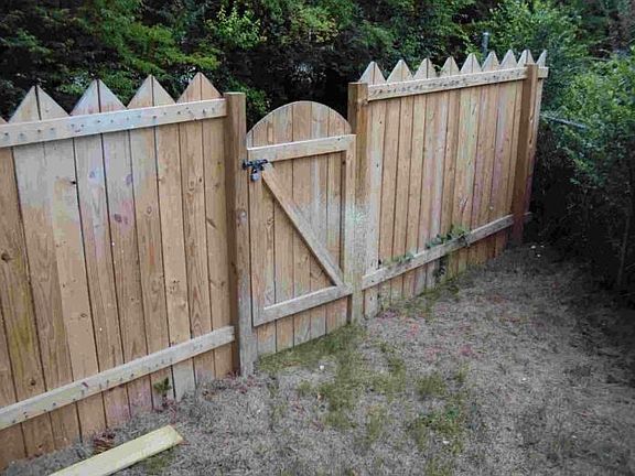 Fenced back yard
