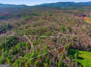 LOT 24 Pickett Mill Ln, Ellijay, GA 30540