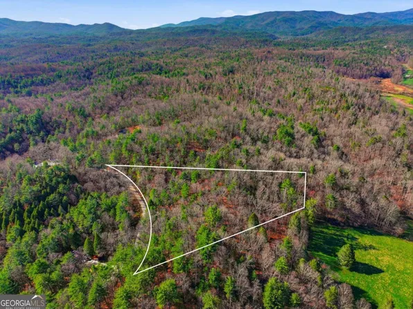 LOT 24 Pickett Mill Ln, Ellijay, GA 30540