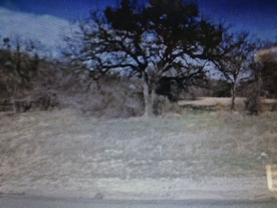 1st image of 2604 S Oak Trl