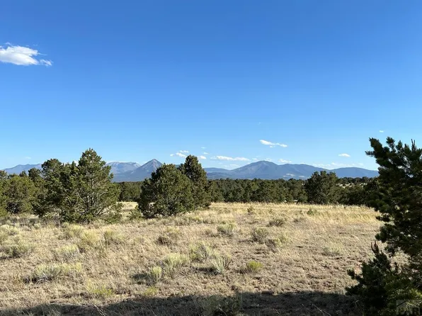 16 W Milligan Rnch, Gardner, CO 81040