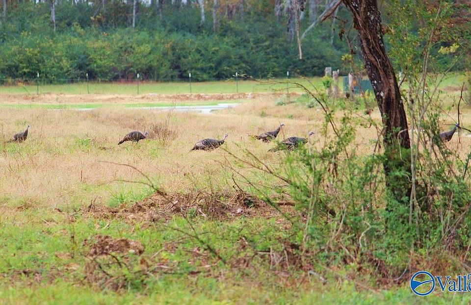 2nd image of 3753 S Woodtrail Rd SW