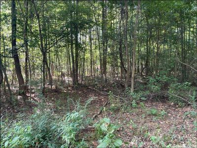 0 Coy Trl, Conway, AR, 72032