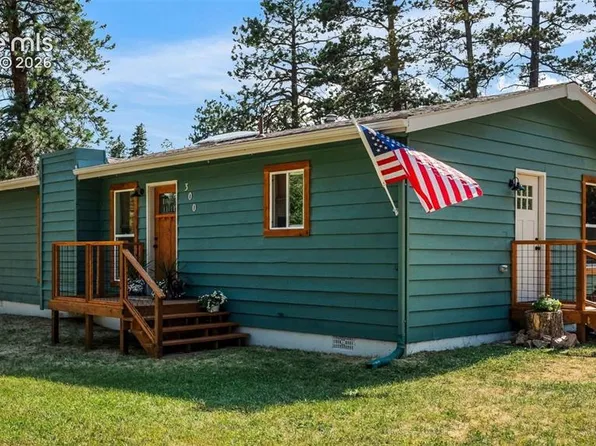 300 S Fairview St, Woodland Park, CO 80863