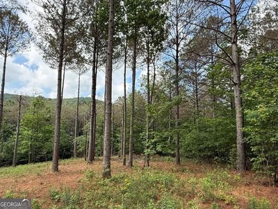 LOT 9 Eastview Trl, Ellijay, GA, 30536