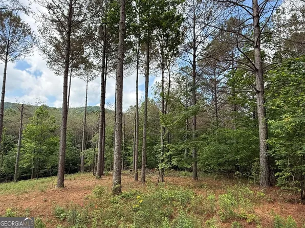 LOT 9 Eastview Trl, Ellijay, GA 30536