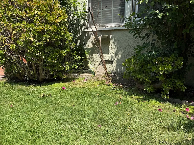 Front Lawn of Unit