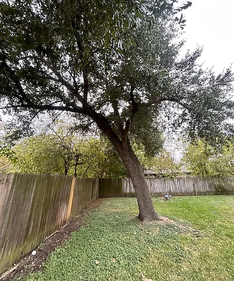 1802 Laura Ln — Photo 8