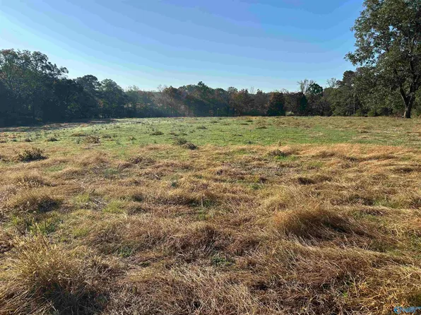 8011AC County Road 367, Albertville, AL 35951