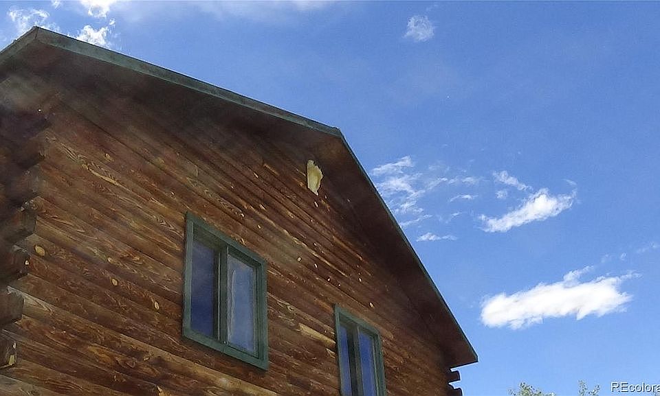 362 Buckskin