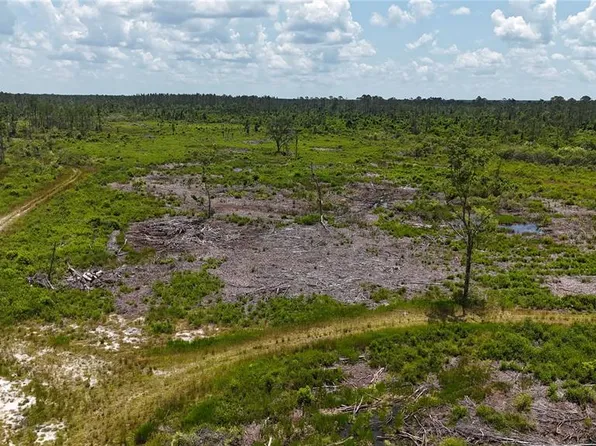 SW Gary L Thomas Rd, Mayo, FL 32066