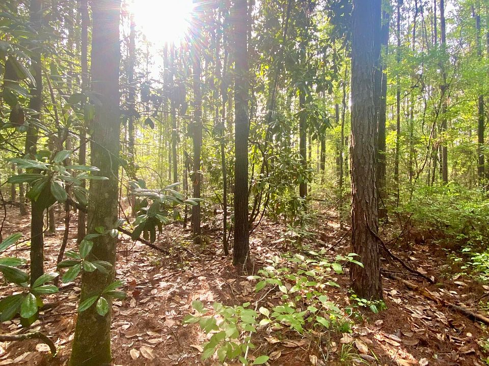 2nd image of 101 Kirby Creek Rd