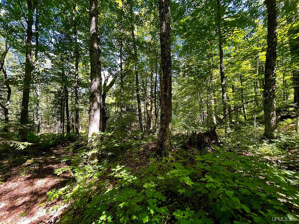 9692 N Laird Rd, Pelkie, MI 49958 Zillow