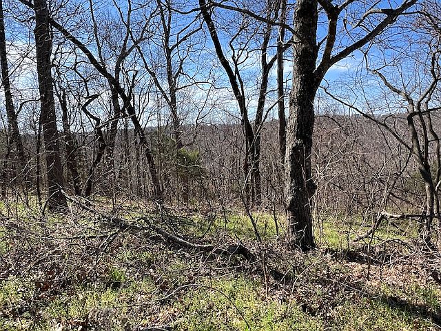 1st image of 85 Mercury Ln #28