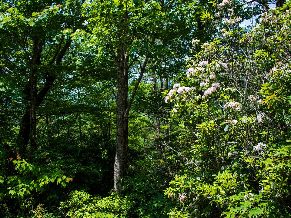 2nd image of TBD Fox Den Road