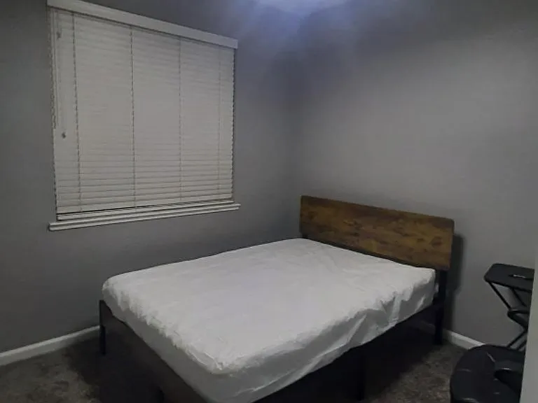 3523 Windsong Ct — Photo 19