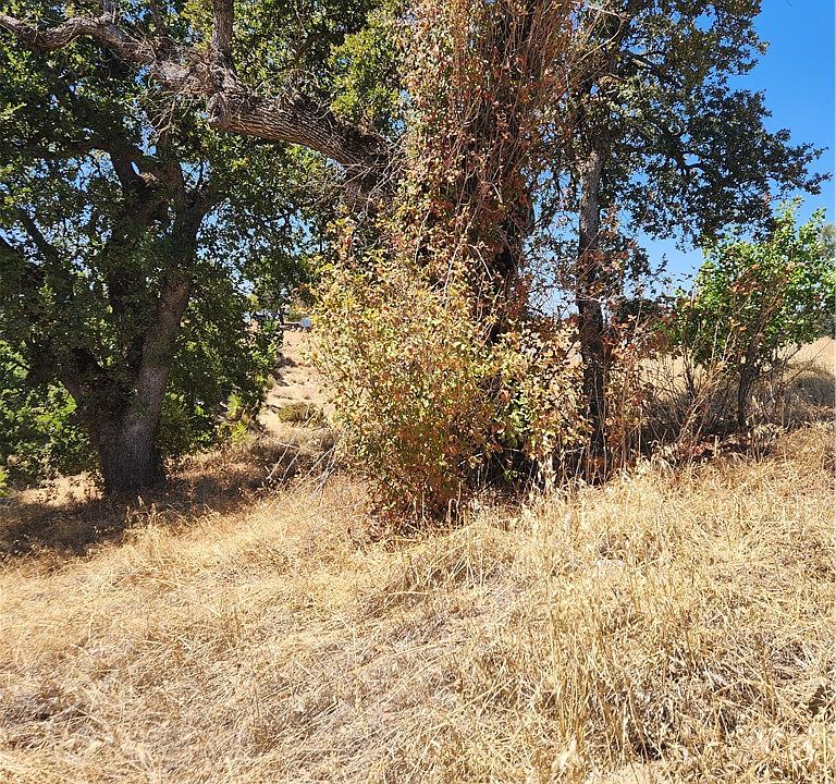 2nd image of 7116 Weatherby Pl Lot 388