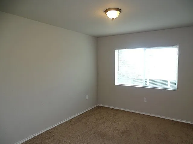 5826 Grandwood Dr — Photo 19