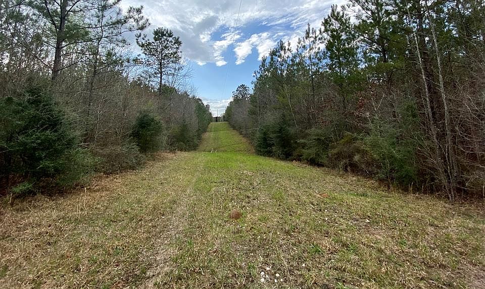 1st image of 47 Mose Hilliard Rd
