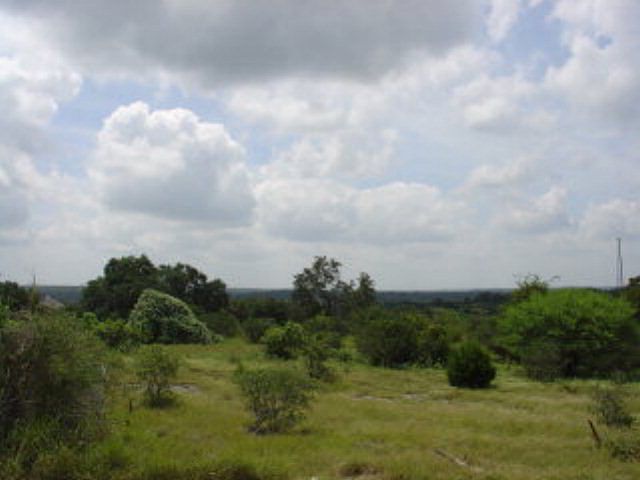 1st image of 1428 Decanter Dr