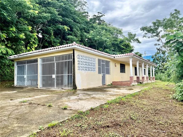 Road 167 Hm 8.3 Villas Del Plata Lot 3, Naranjito, PR 00719