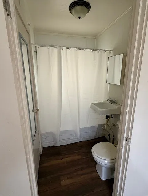 1 bed, 500 sqft, $650 — Photo 3