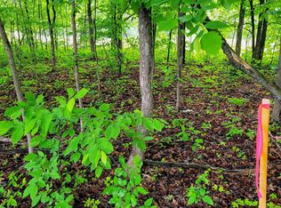 Dorman Rd, Kalkaska, MI 49646