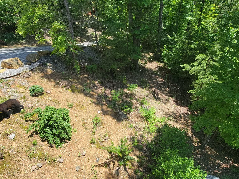Settlers View Ln — Photo 90
