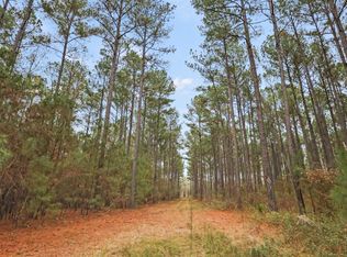 935 Hunter Rd, Ellaville, GA 31806