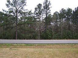1st image of 15047 Lake Paula Dr